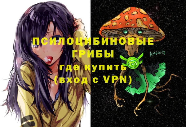 молекула духа Бородино