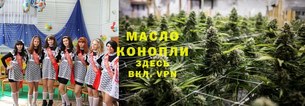 молекула духа Бородино