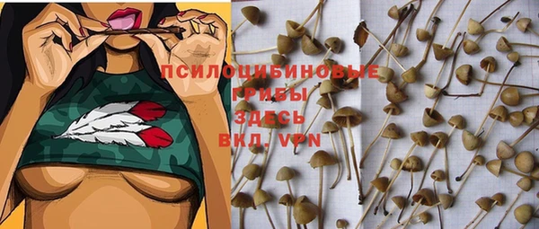 спиды Бикин