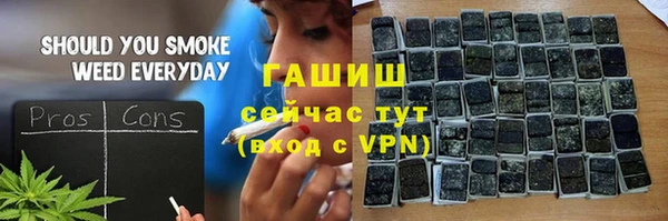 молекула духа Бородино