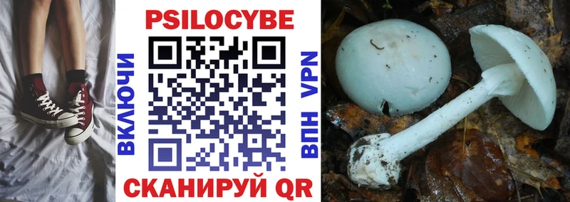 Галлюциногенные грибы Psilocybe Бородино