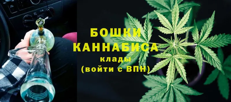 blacksprut как зайти  где можно купить   Бородино  Шишки марихуана планчик 