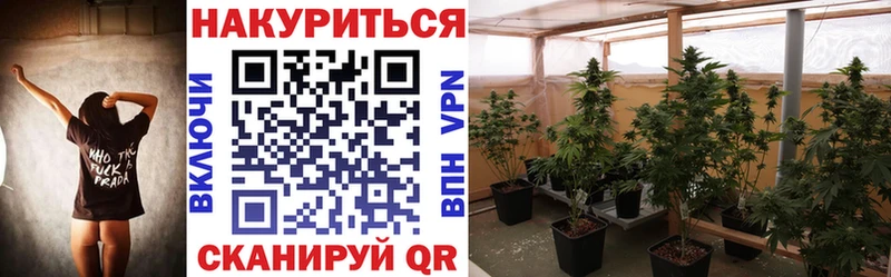 это наркотические препараты  Бородино  Бошки Шишки White Widow 